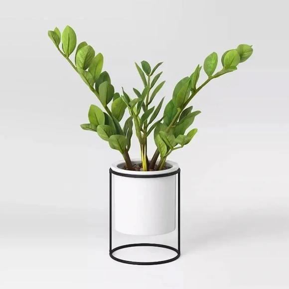 Project 62 Medium Artificial ZZ Plant in White Ceramic Pot - Picture 1 of 2